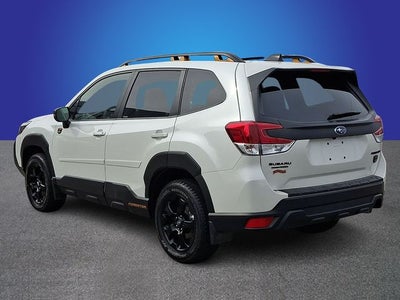 2025 Subaru Forester Wilderness