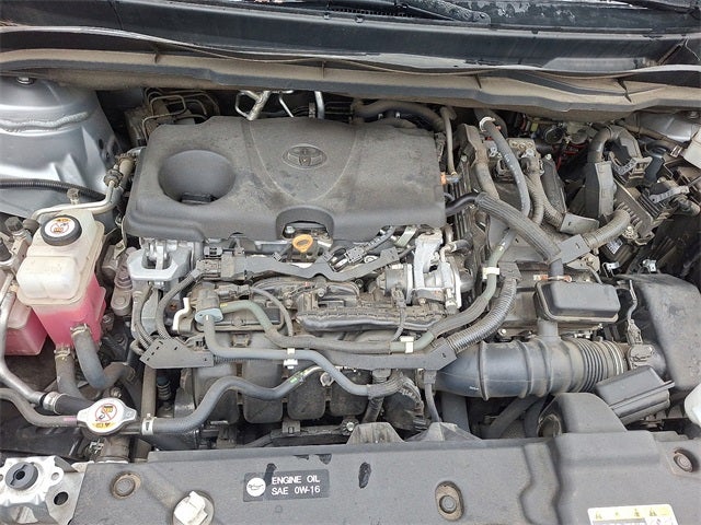 2021 Toyota Sienna XLE 7 Passenger